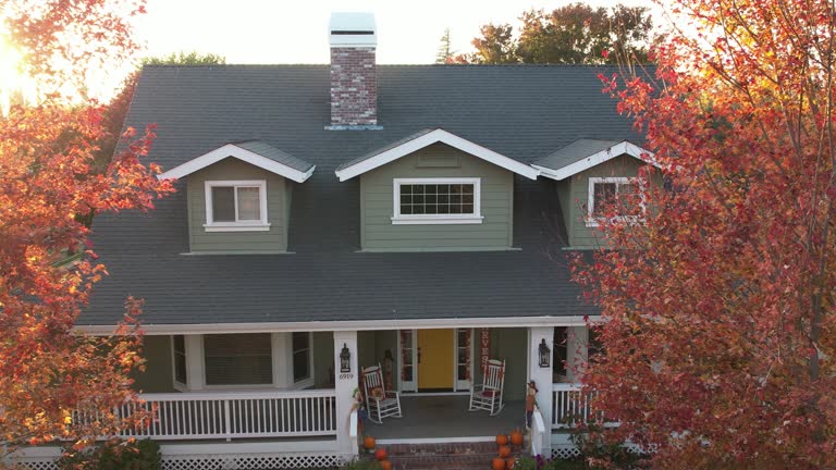 Best Skylight Installation and Repair  in Los Ranchos, CA
