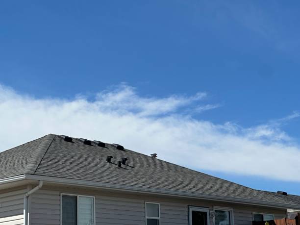 Best Solar Panel Roofing Installation  in Los Ranchos, CA